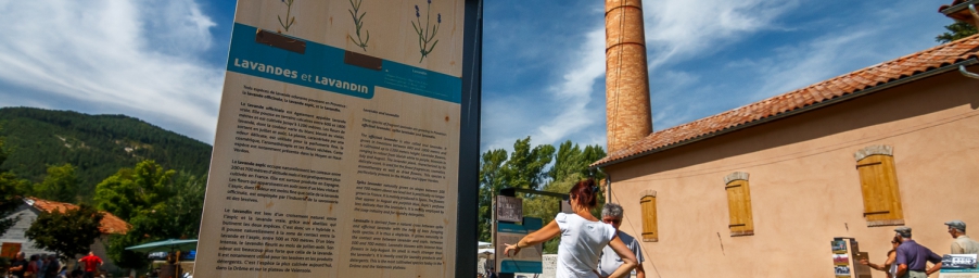 Le jardin du musée