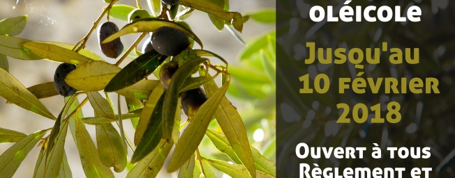 L'olive dans tous ses états