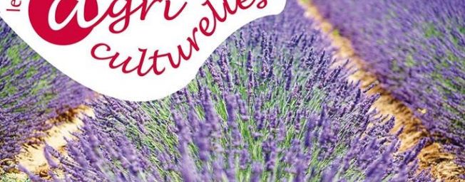 Rencontre'ariculturelle lavande