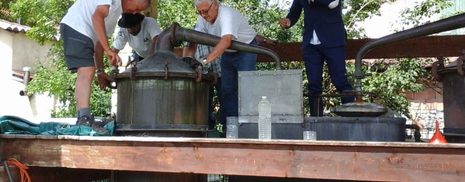 Distillation