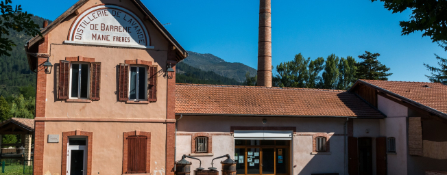 visite guidée