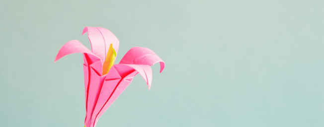 atelier fleurs en origami