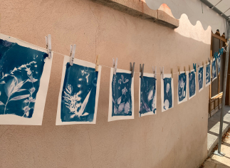 Cyanotypes devant le Musée de la Dsitillerie