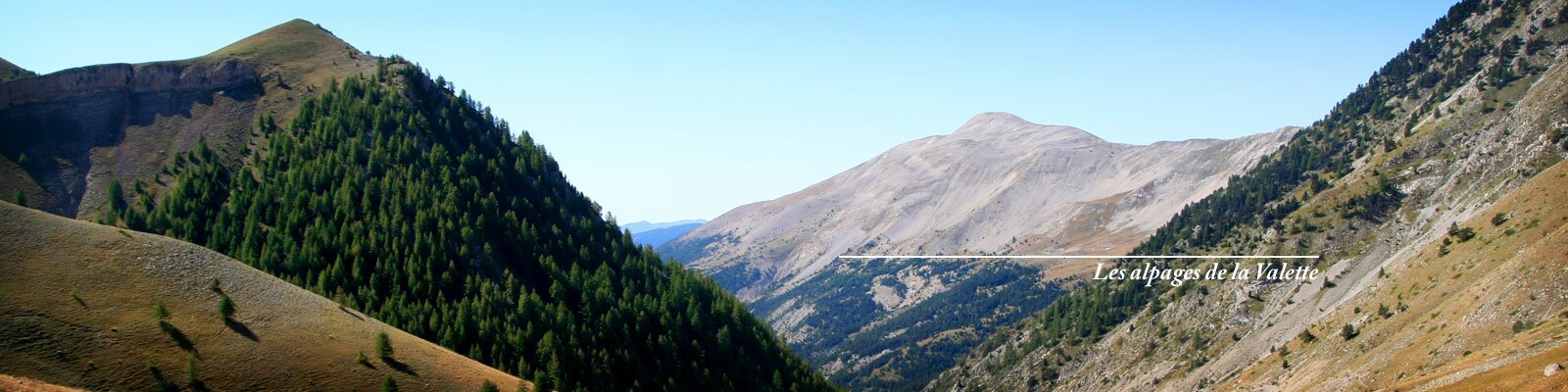 Les alpages de la Valette